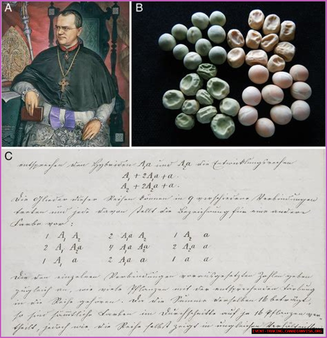 Unveiling Anett Kontaveit's Net Worth: Discoveries And Insights